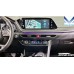 PASSANGER HYUNDAI SONATA (DN8) 2.0 LPG 2WD 2022 YEAR